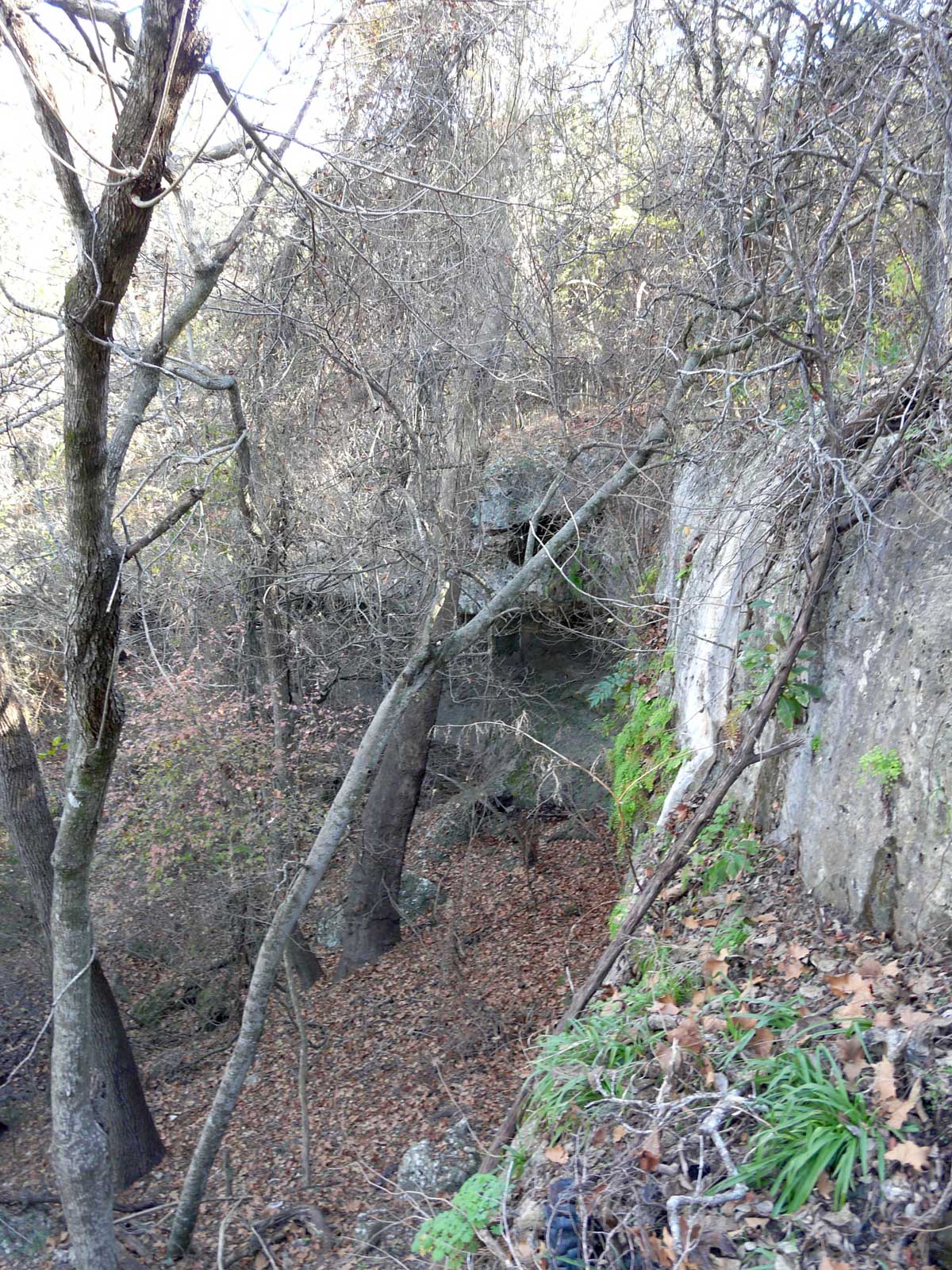 Stillhouse Hollow nature preserve