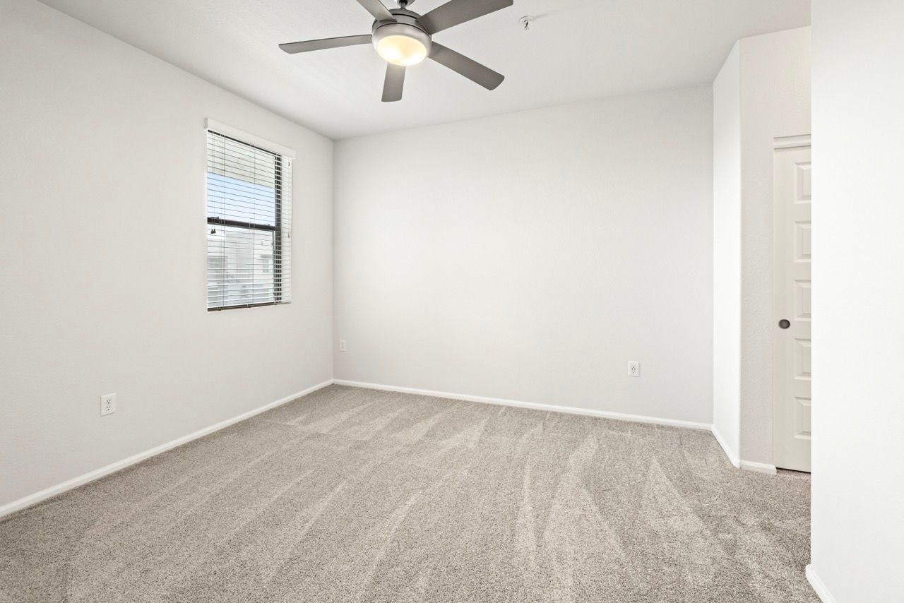 Empty carpeted bedroom with a window, white walls, a ceiling fan, and a closet door.