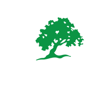 Top Dentist In Lady Lake And The Villages, Fl