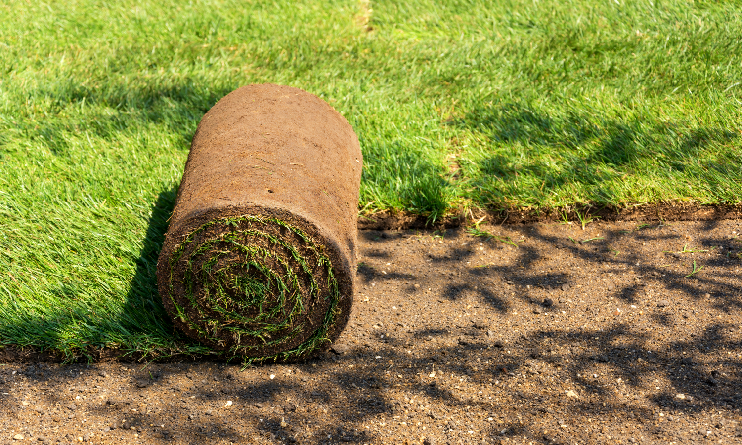 A roll of sod is sitting on top of a lush green lawn.