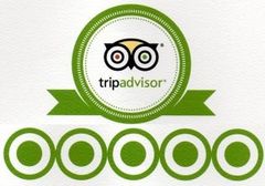www.tripadvisor.it/Restaurant_Review-g1180044-d3278355-Reviews-Trattoria_degli_Artisti-Predappio_Province_of_Forli_Cesena_Emilia_Romagna.html