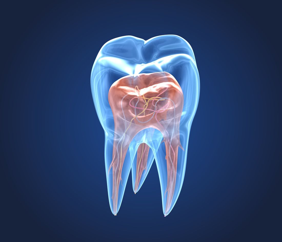 La polpa del dente