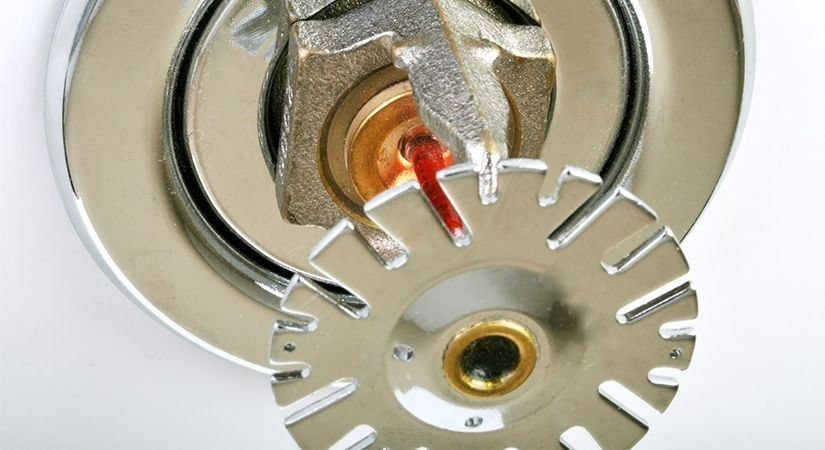 A Close Up Of A Fire Sprinkler On A White — Coll Plumbing Pty Ltd in Mackay, QLD