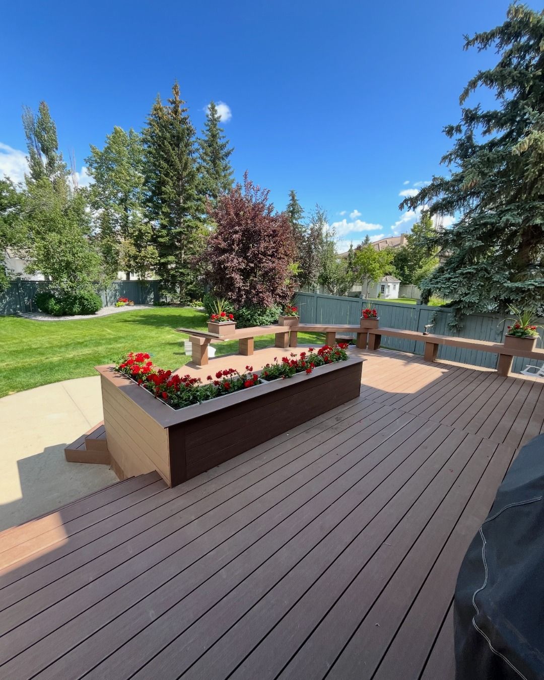 Wooden deck with built-in planters filled with red flowers and benches, lush green lawn, blue sky.