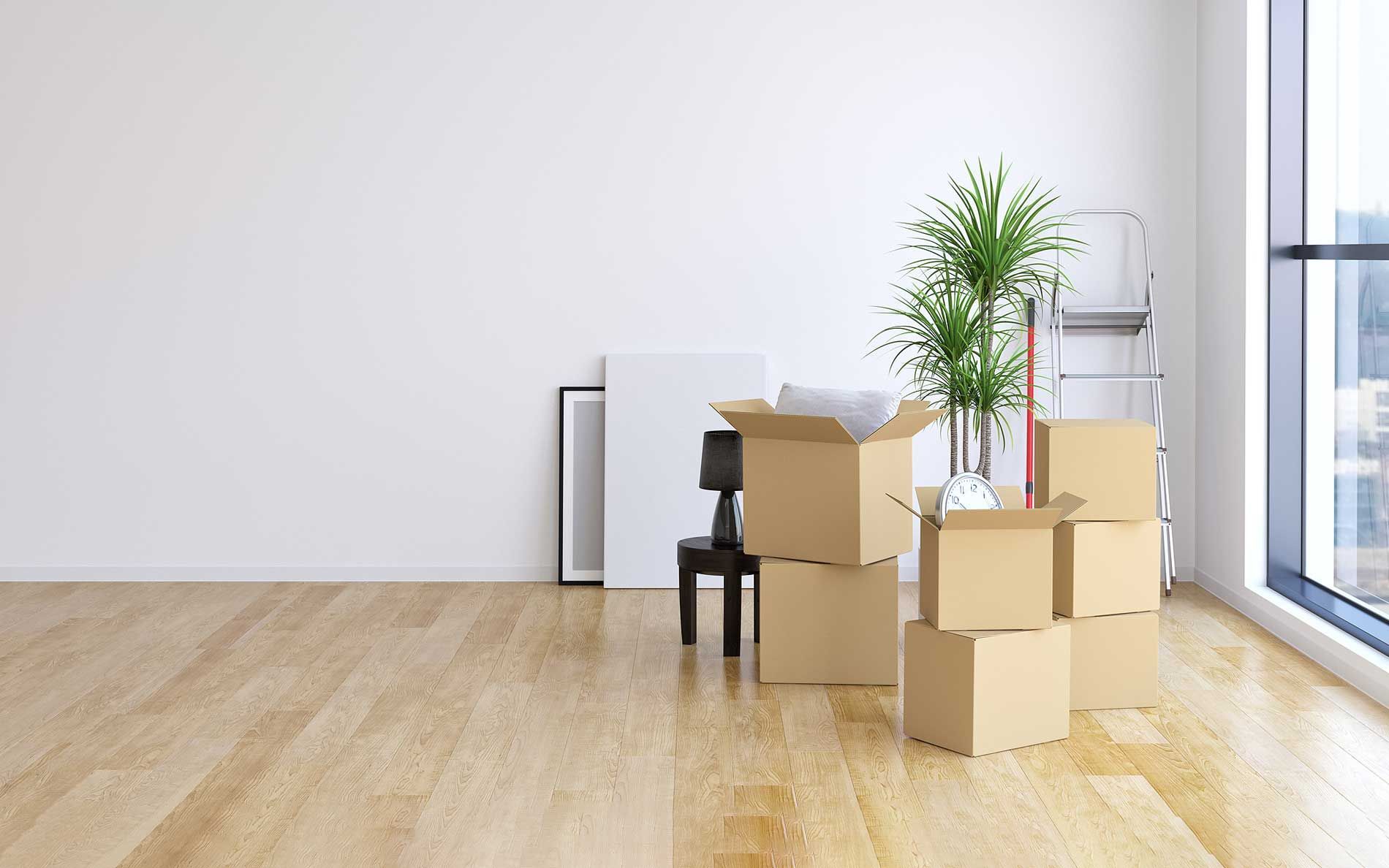 Cajas apiladas en una habitación con pisos de madera, una planta, una escalera y una obra de arte enmarcada.