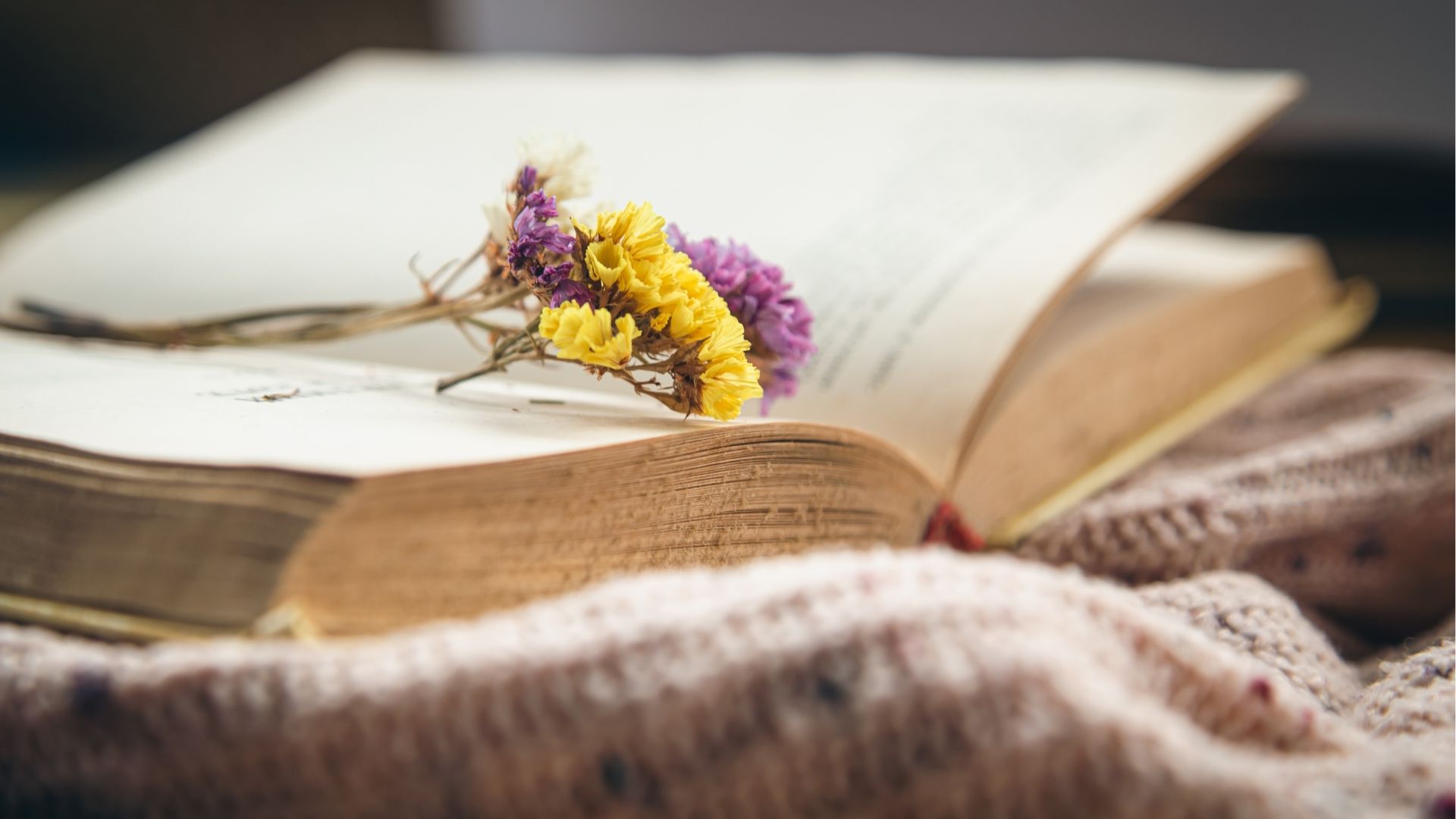 Do you need help choosing a poem for Grandma's funeral? Here are 8 poems that might fit the bill.
