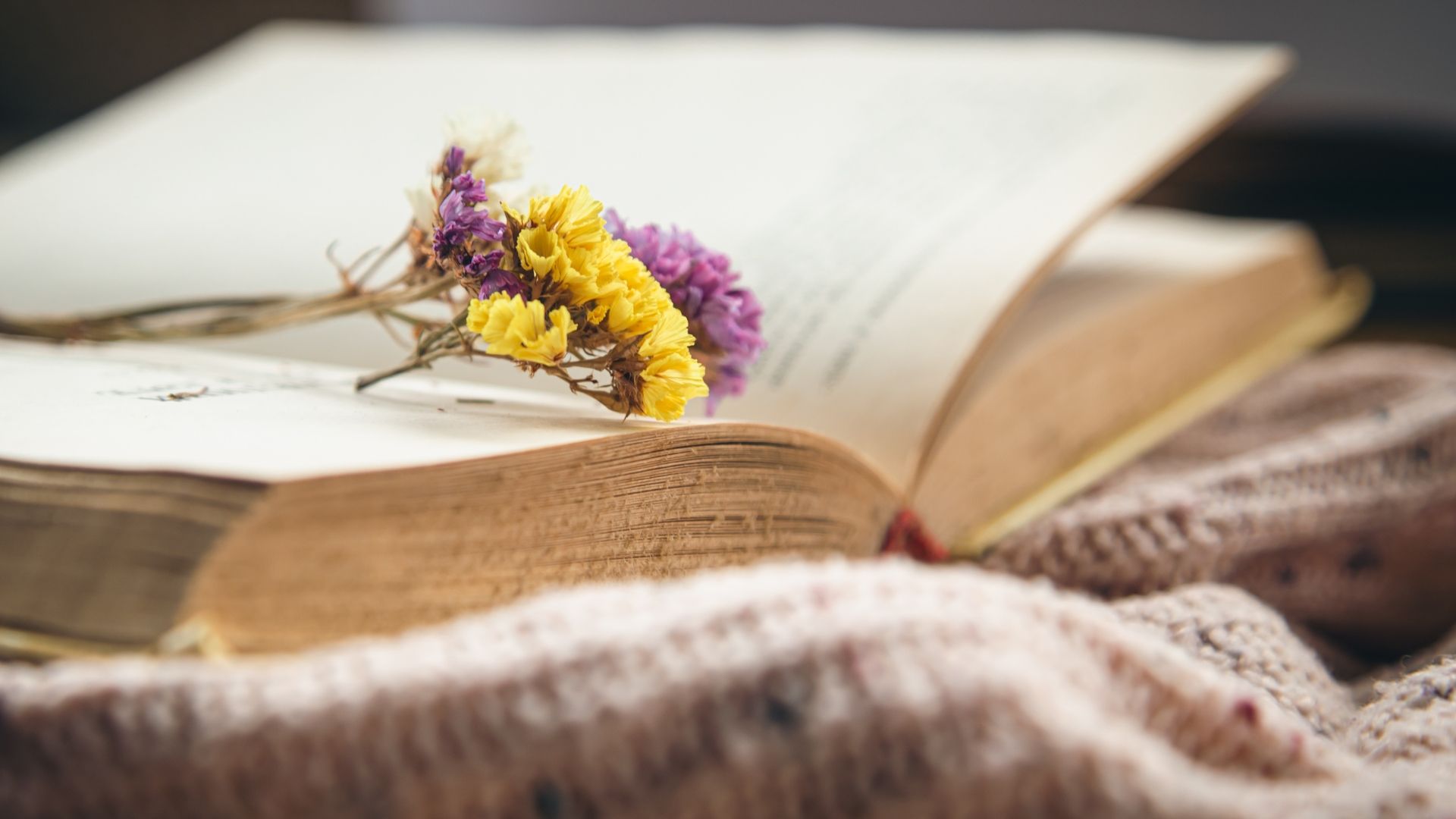 Explore 5 thoughtful choices for poems and verses to remember an auntie. All are suitable