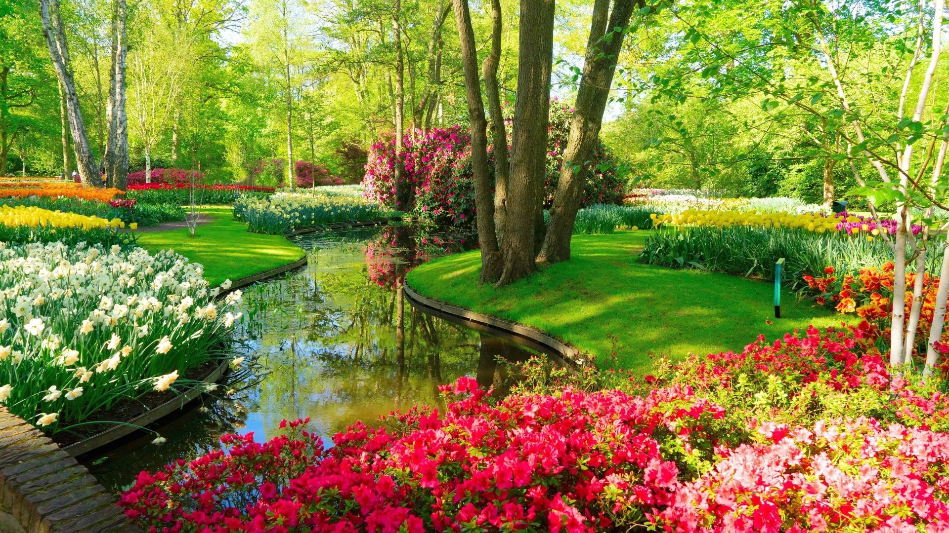 Reading a poem can add a personal touch to a funeral service. Here are 5 poems for nature lovers.
