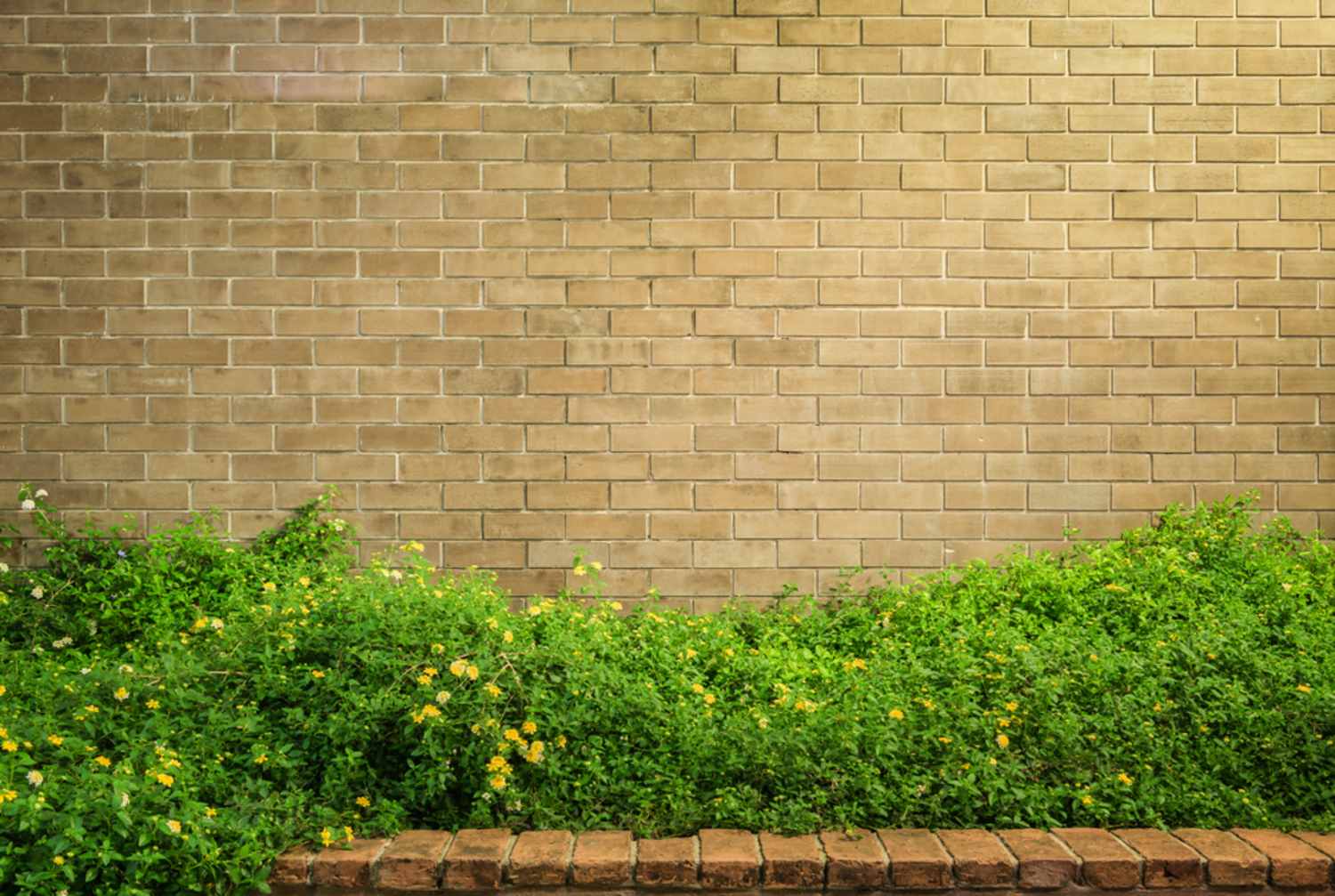 Brick Feature Wall — Structural Landscaping in Port Macquarie, NSW