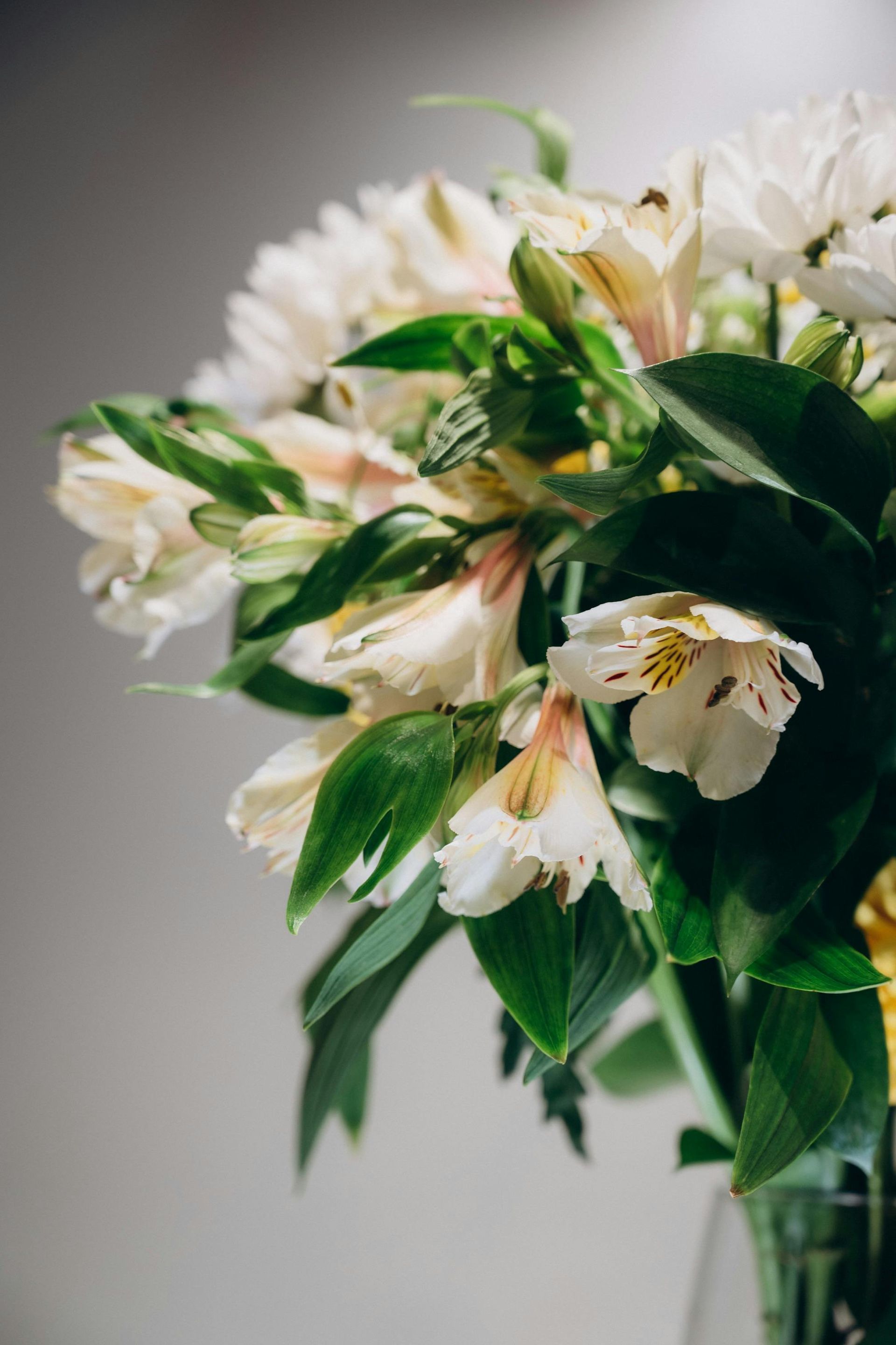 A person is holding a green book in their hands on a wooden table.