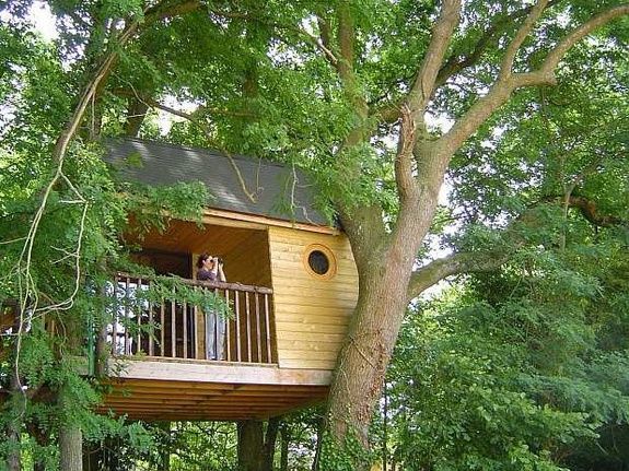 Boomhut met een houten vlonder; mensen staan ​​op de vlonder; bomen omringen de constructie.