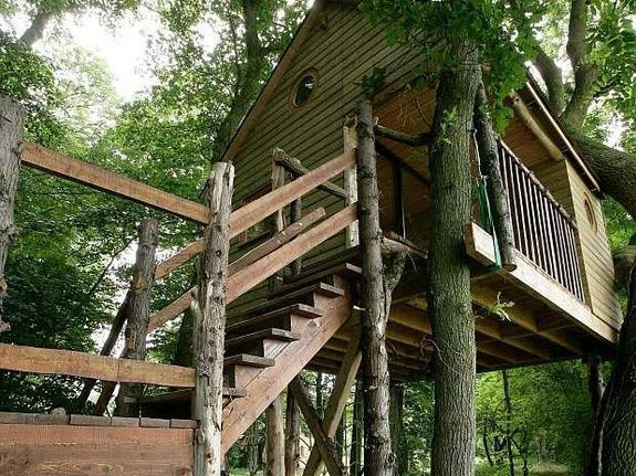 Houten boomhut met trap, gebouwd rondom verschillende bomen, omgeven door groen gebladerte.