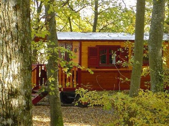 Houten hut in een bos met rode accenten en begroeiing.