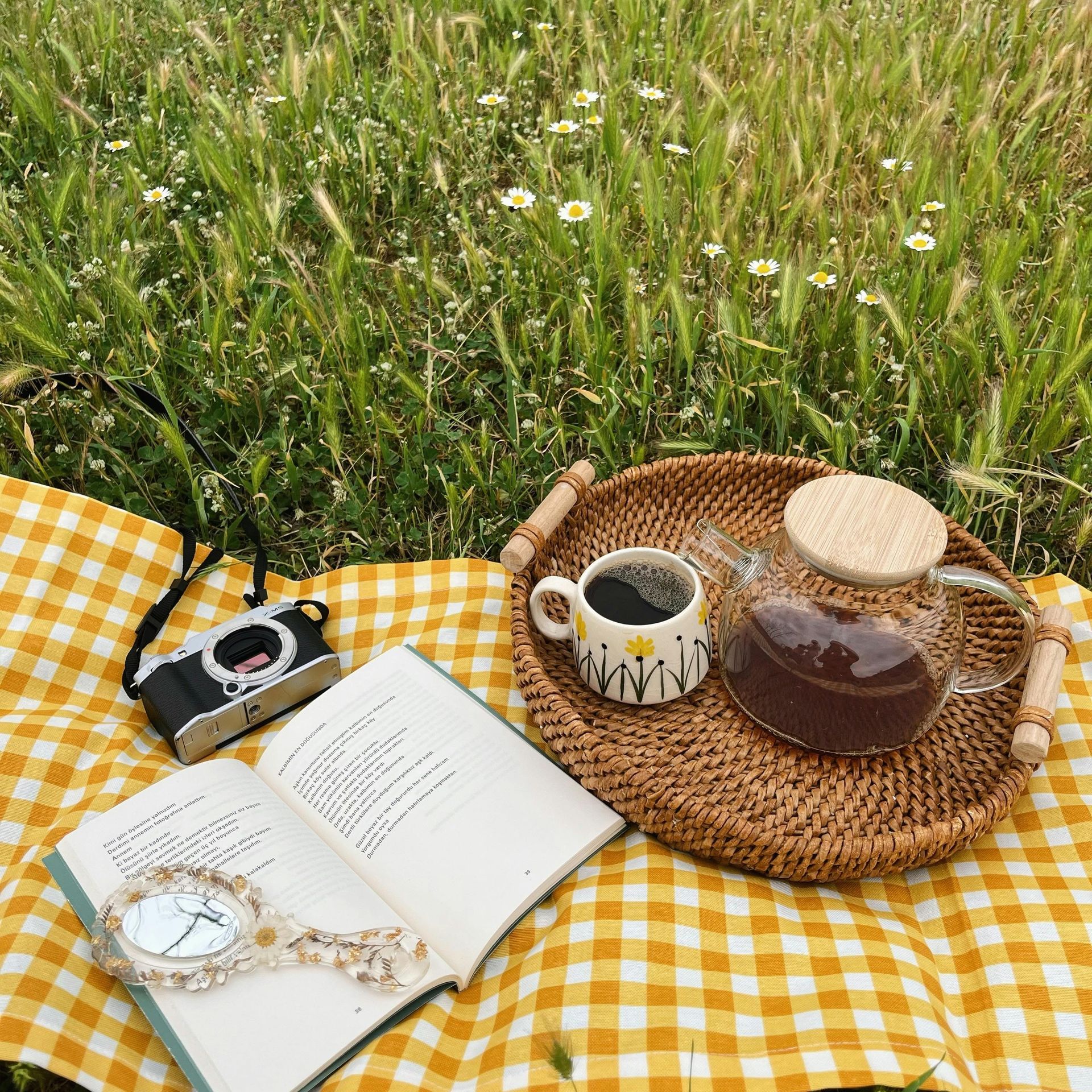Picknicktafereel: Geel geruit kleed, boek, camera, koffie en theepot in een grasveld.