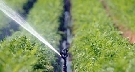 Impianto di irrigazione interrato automatico