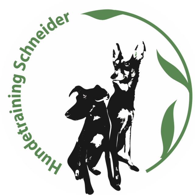 Hundetraining Schneider - Hohenpeißenberg
