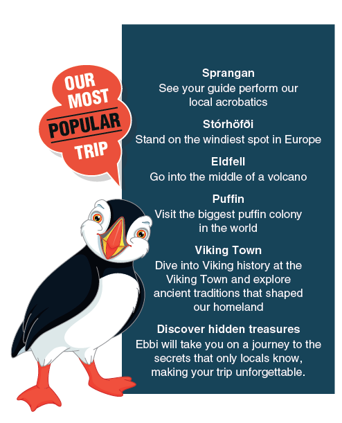 Puffin tour
