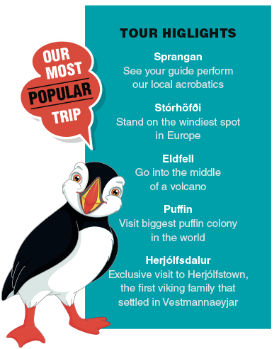 Puffin Facts & Information Guide - Aurora Expeditions™