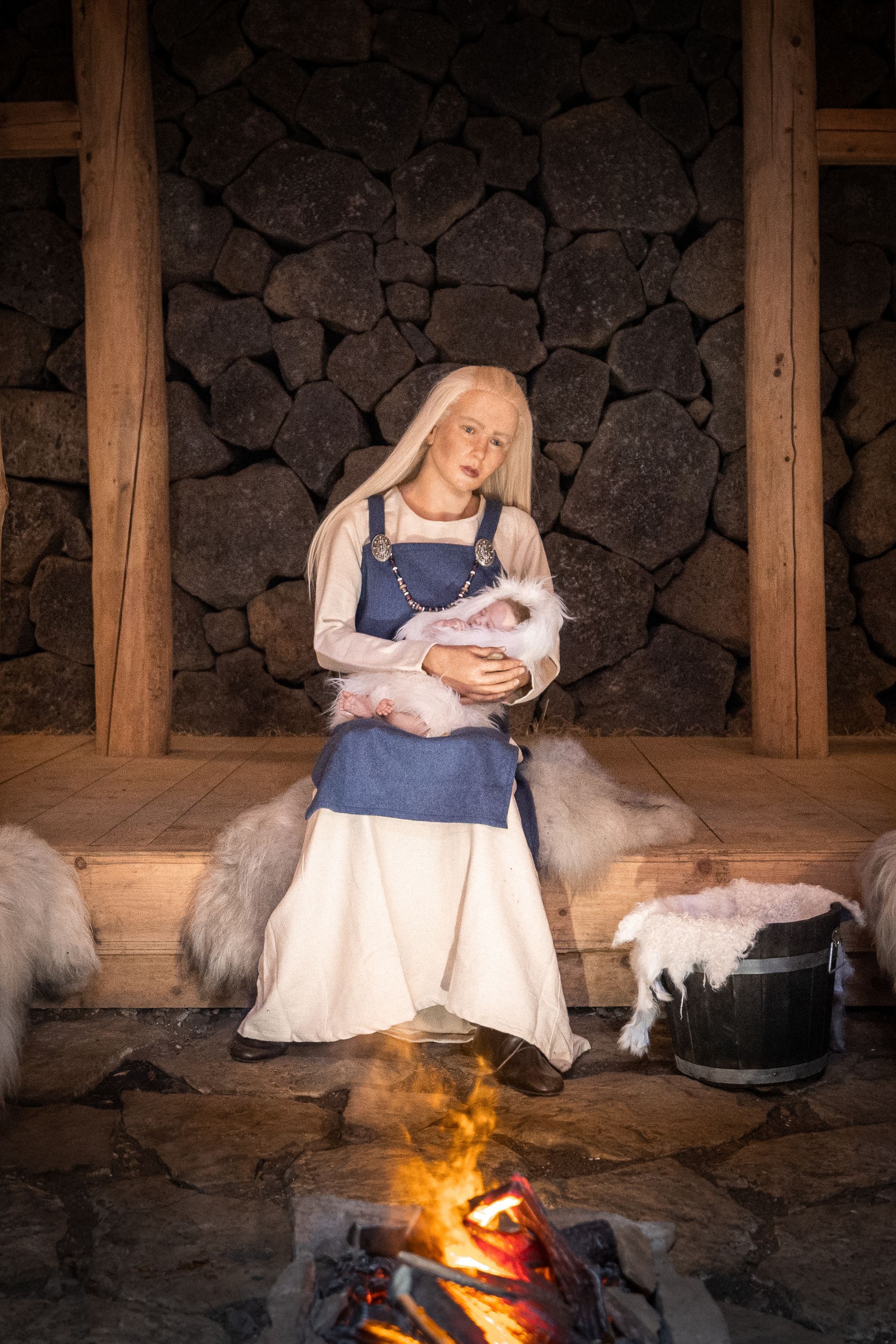 Puffins in Westman Islands