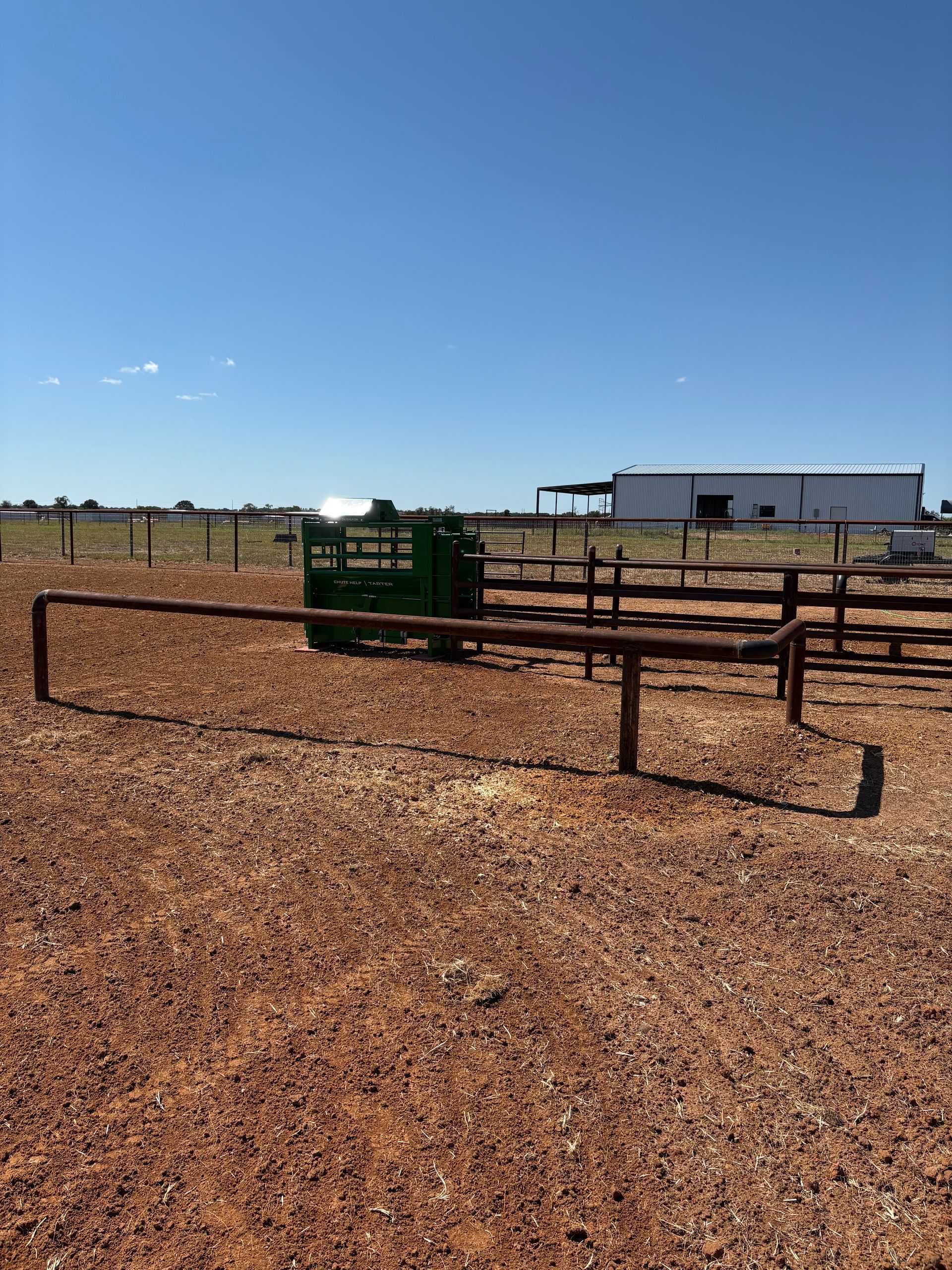 Brown dirt yard with cattle working pens and a green chute under a blue sky.