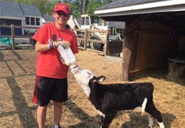 adult day care services