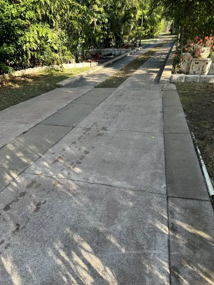 Concrete Driveway Stretches Into a Sunlit — I Do It All in Maleny, QLD