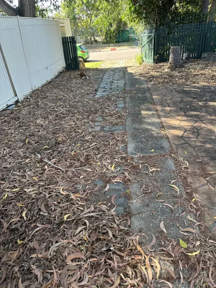Paved Backyard Path Covered in Brown Fallen Leaves — I Do It All in Caloundra, QLD