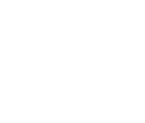 LG logo negativo