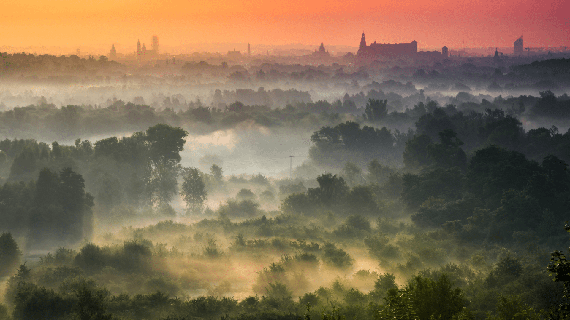 Foggy morning view over Kraków’s green park areas with the city skyline in the distance