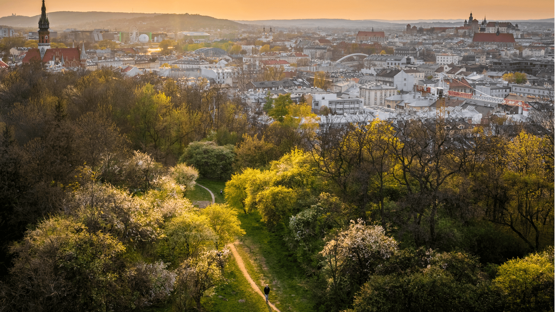 Panoramic view of Kraków in summer with lush greenery and city buildings under a clear sky