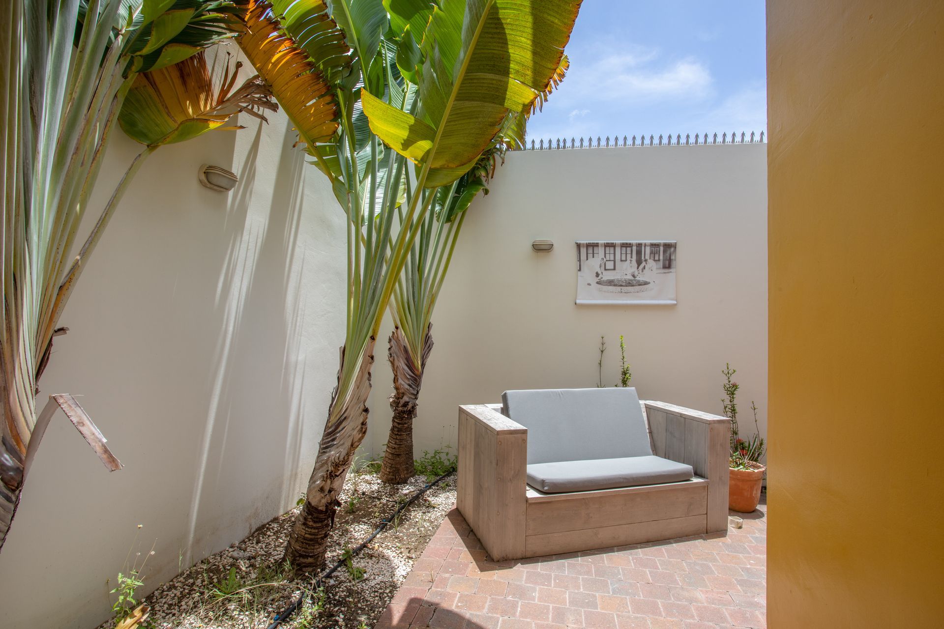 A patio with a couch and palm trees in front of a white wall.