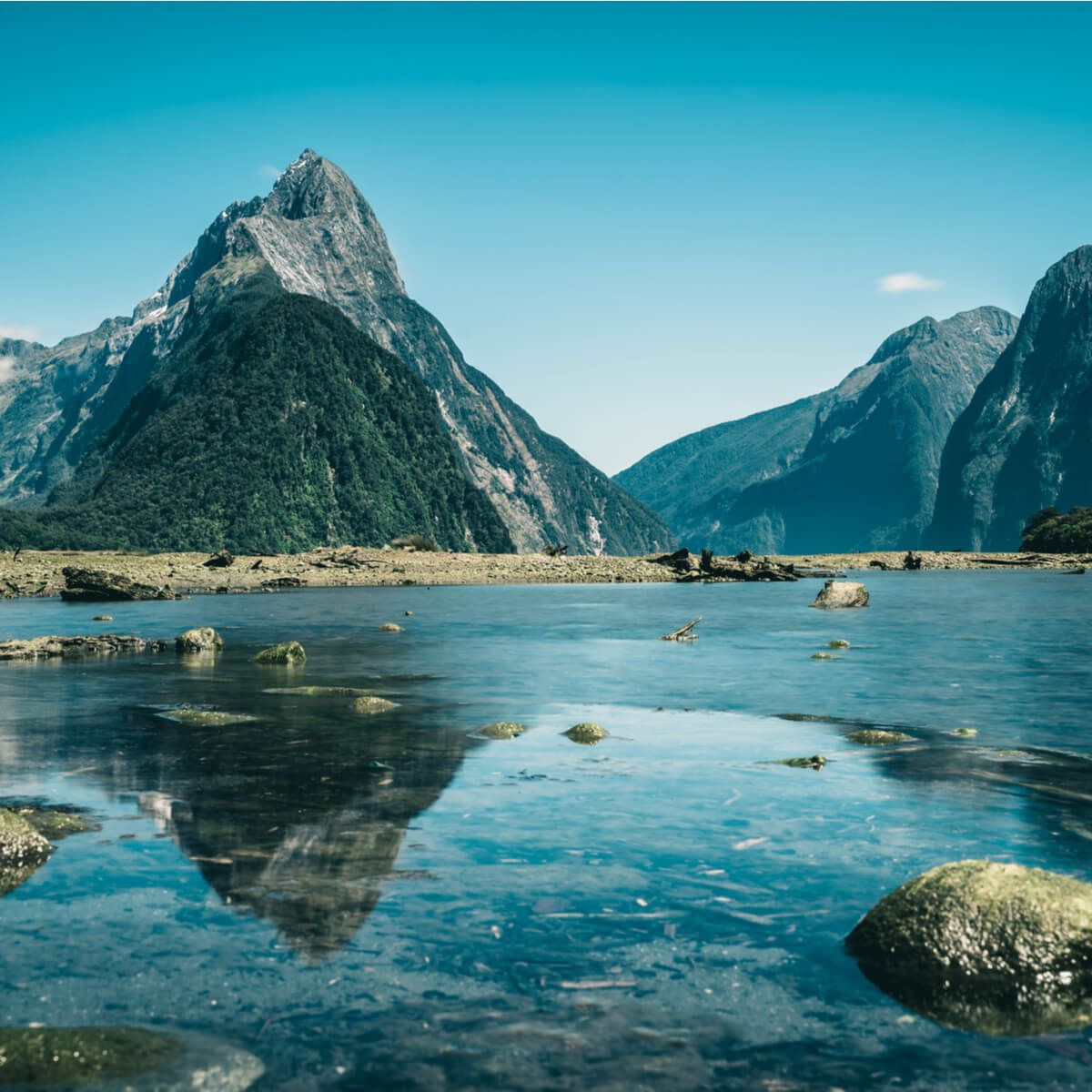 Crafting a Standout CV for Emergency Medicine Careers in New Zealand