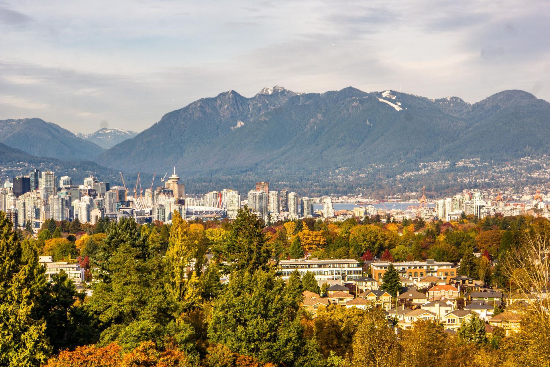 Family Medicine in Canada: Scope of Practice and Clinical Autonomy Explained