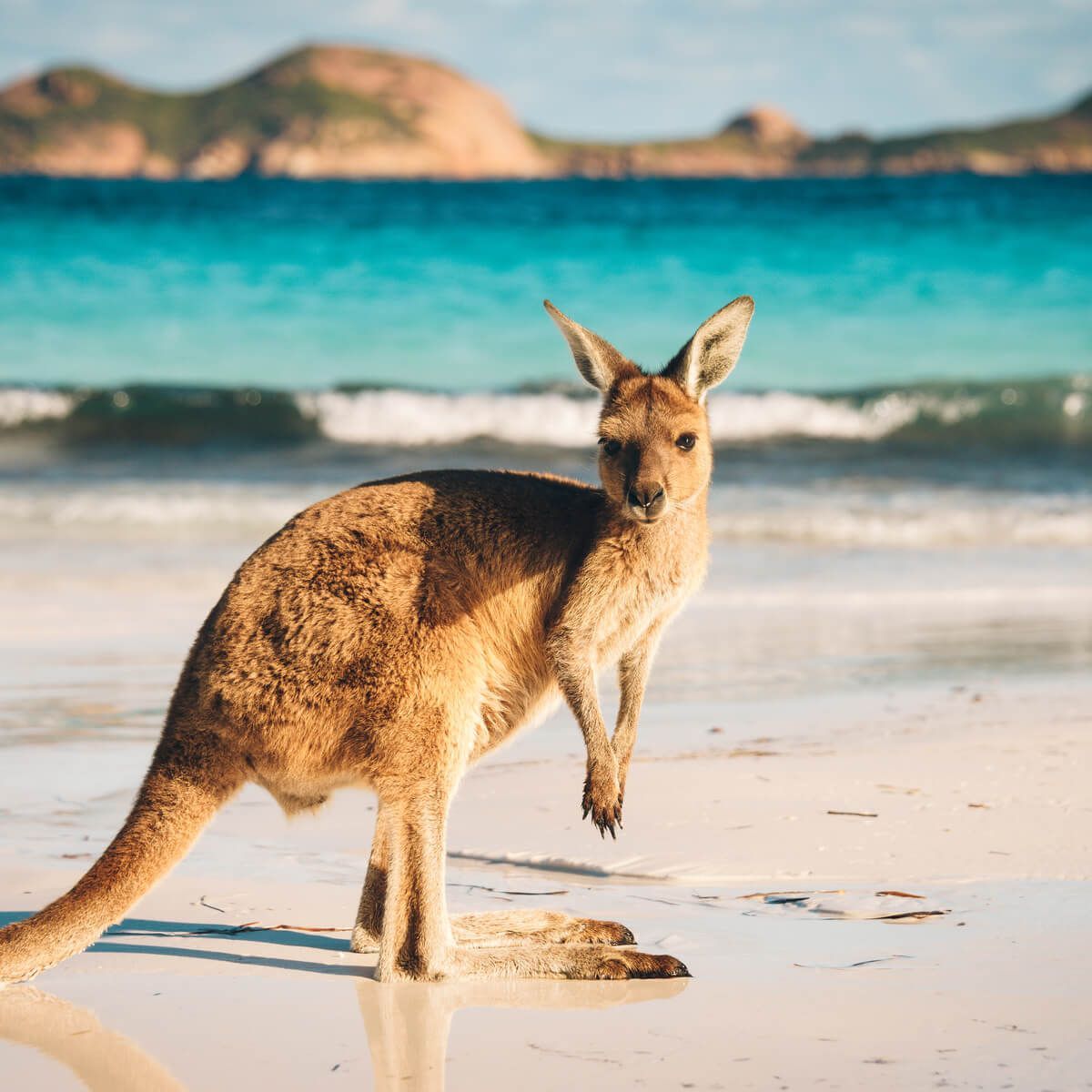 Emergency Physician Recruiter Finds Travelling Candidate for Remote Australian Hospital