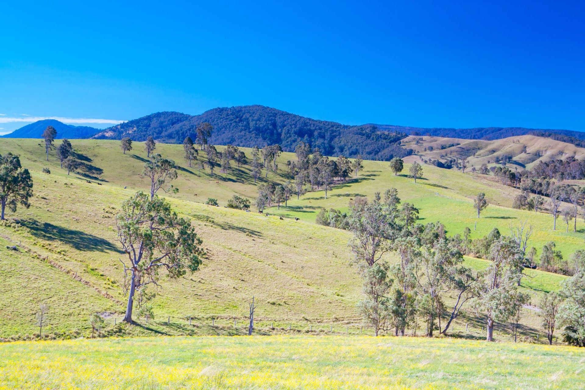 Case Study: Recruitment of a South African Anaesthetist to Hunter New England, New South Wales