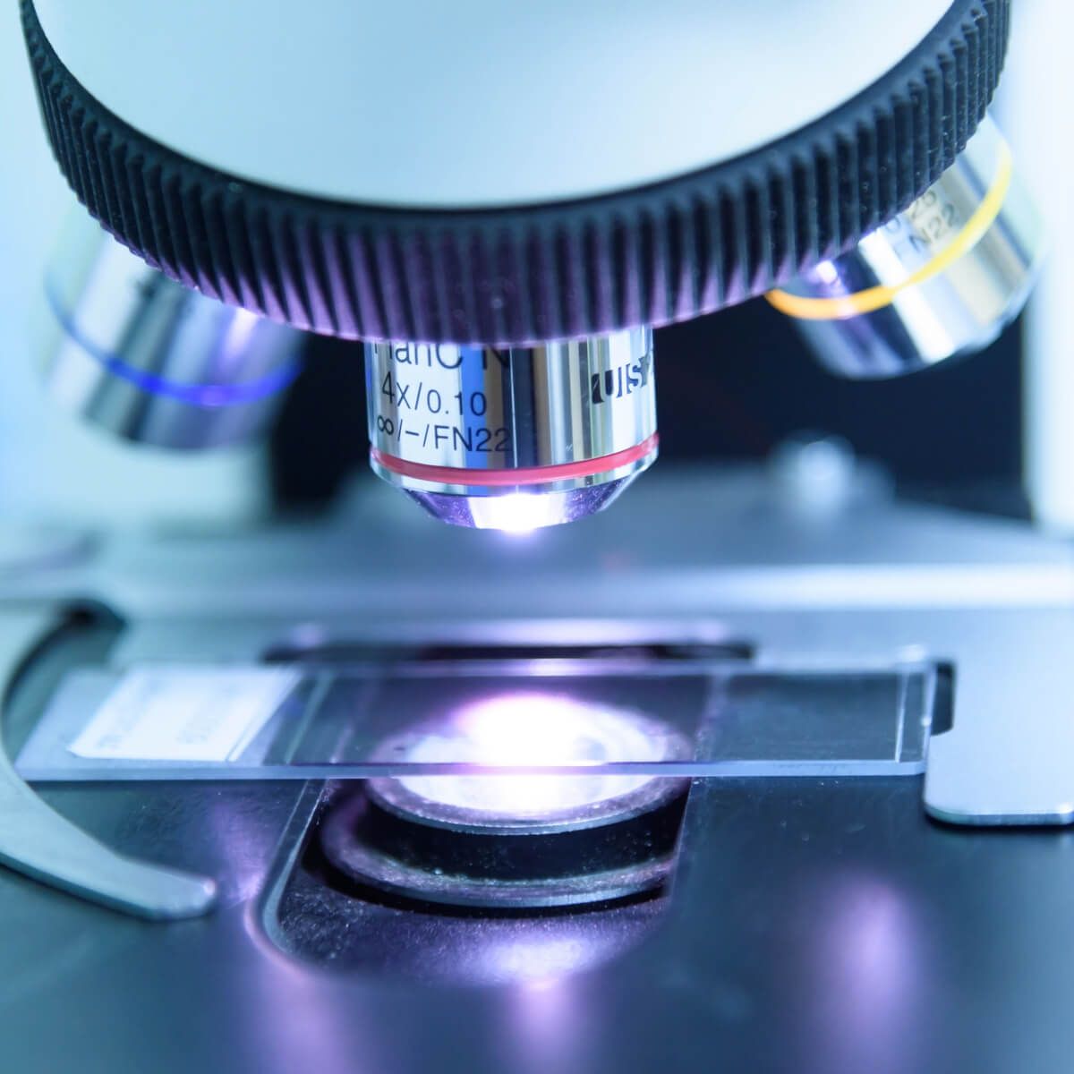 Anatomical Pathology Jobs