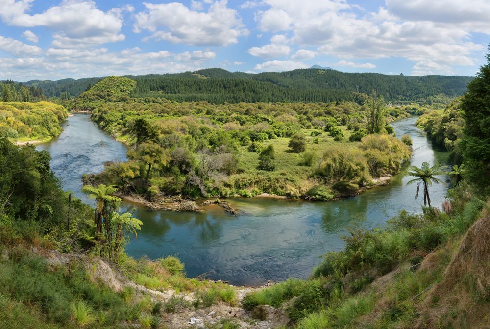The Heartbeat  - Te Manawa Taki 
The Bay of Plenty, Lakes Region, Taranaki, Gisborne, Waikato