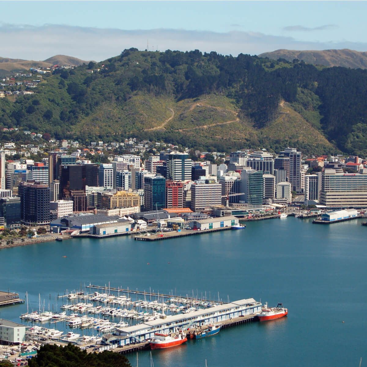 The Central Region - Wellington, Hutt Valley, Palmerston North, Whanganui, Hawke's Bay