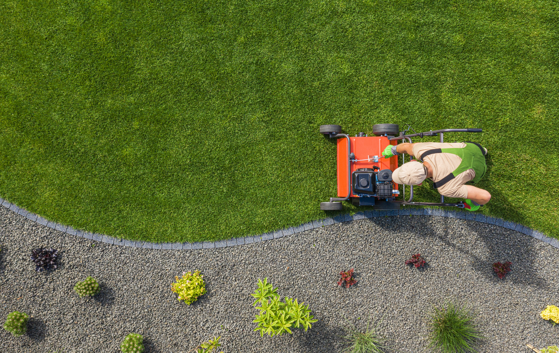 Person mowing a green lawn with a red lawnmower, near a rock border with small plants.