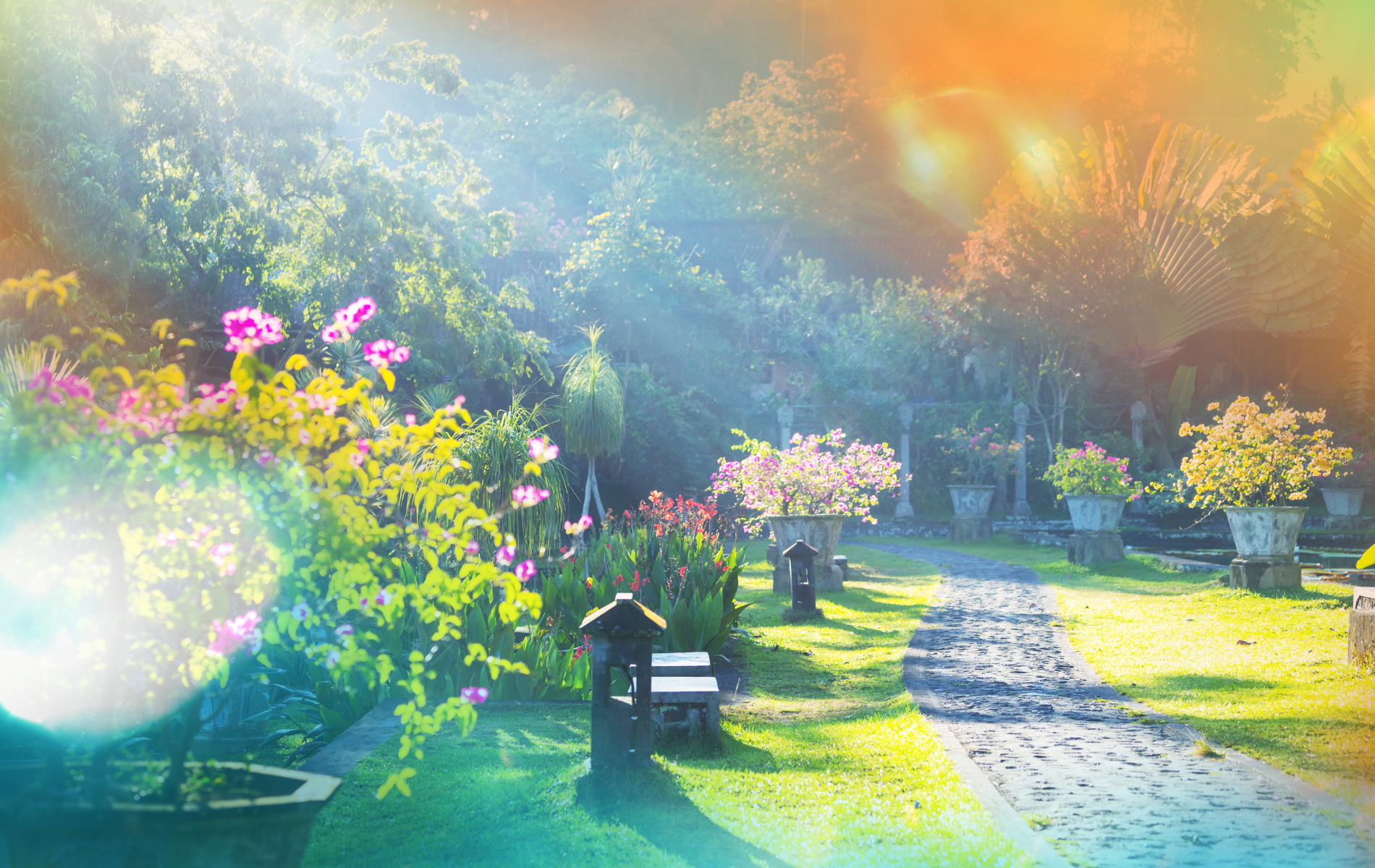Lush garden scene with a stone pathway, vibrant flowers, and bright sunlight.