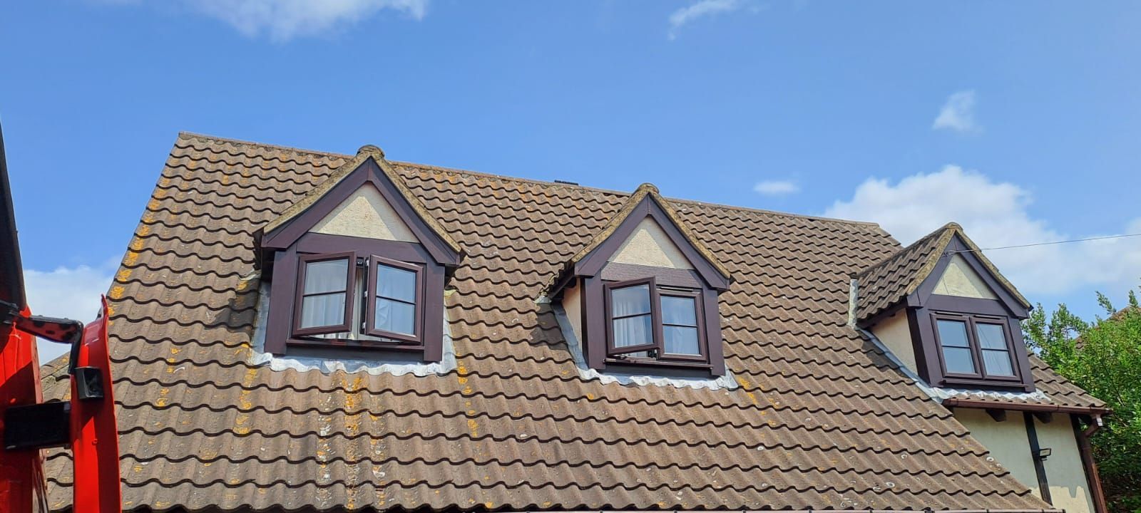 window with rosewood cladding