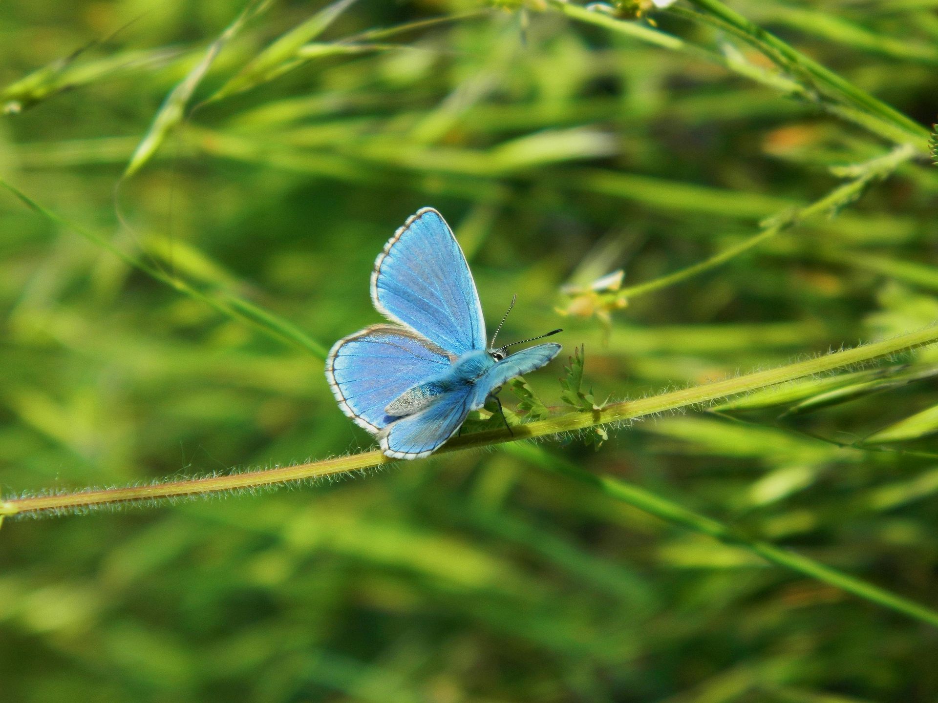 Reset & Refresh 8-week Women's Wellness Group w/ 3 Individual Coaching Sessions- Early Bird