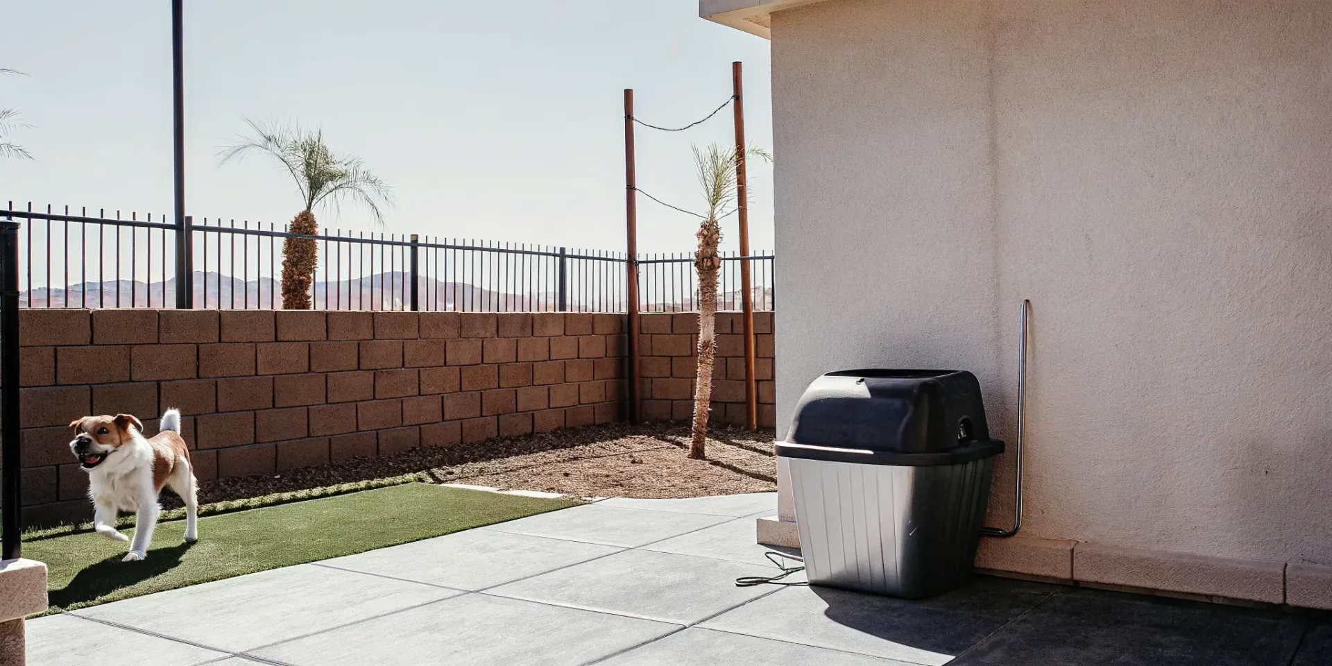 Get a free quote today. The health risks of dog waste in yard threaten your family. Learn how Las Vegas homeowners can eliminate these hazards.