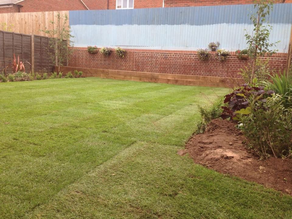 new garden lawn laid after garden drainage installed