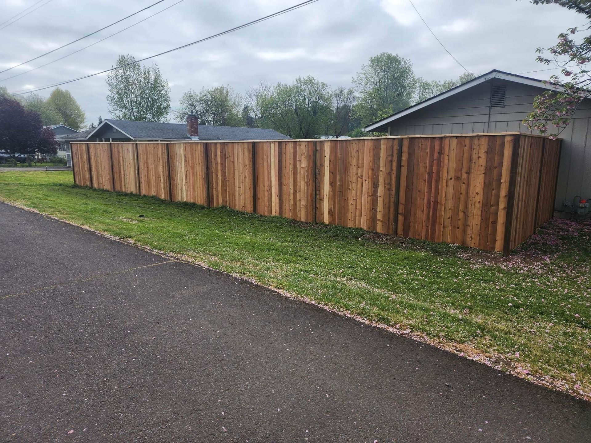 Wooden privacy fence along a grassy roadside beside houses and trees under a cloudy sky