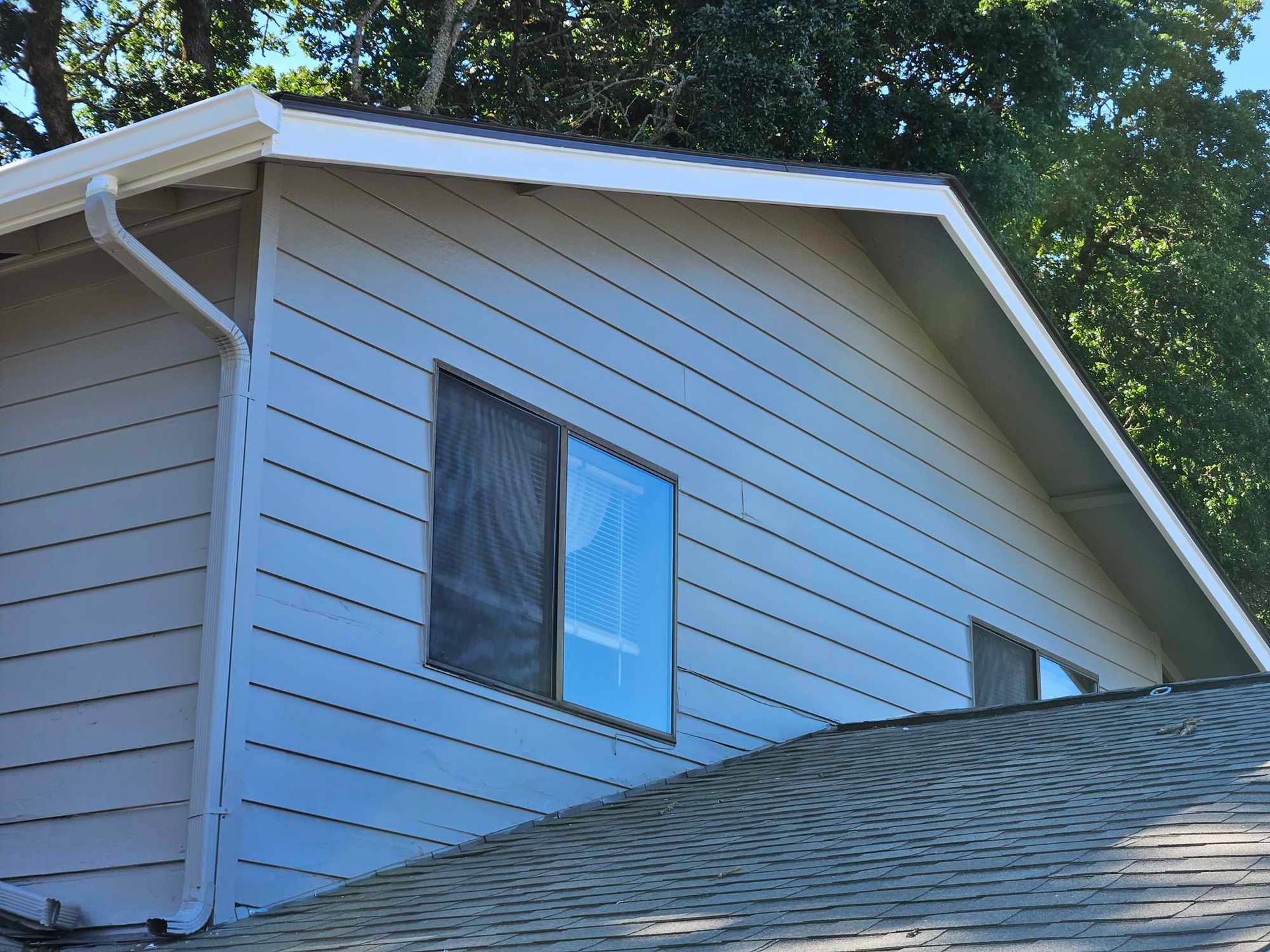 White house exterior with blue siding, windows, and a sloped shingled roof under trees