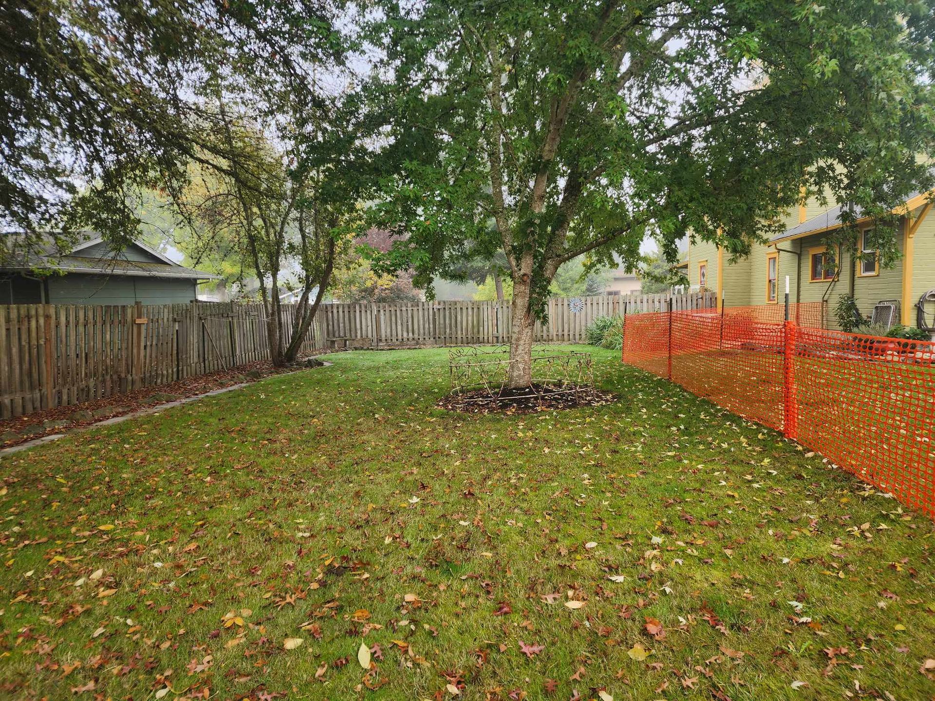 Backyard with large trees, grassy lawn, wooden fence, and orange construction fencing on the right