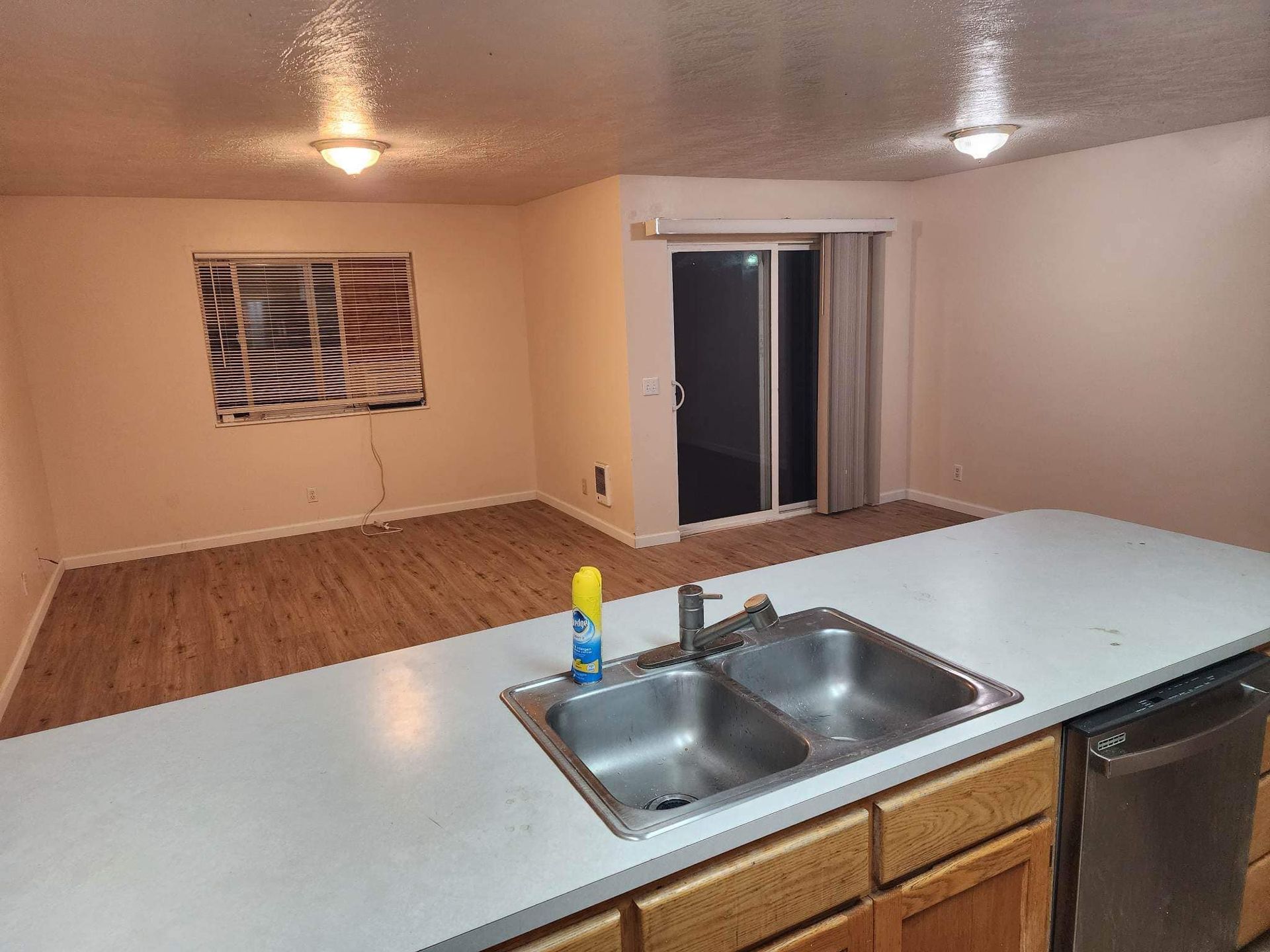 Empty living room with wet bar and sink, white counter, wood floor, and sliding glass door.