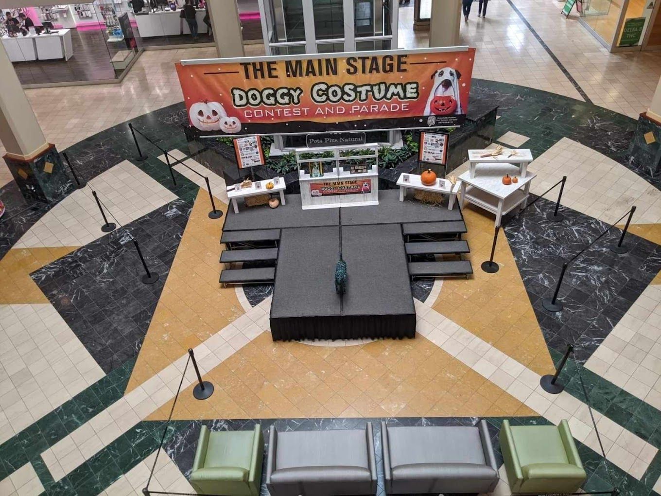 An aerial view of a stage with a sign that says the main stage doggy costume