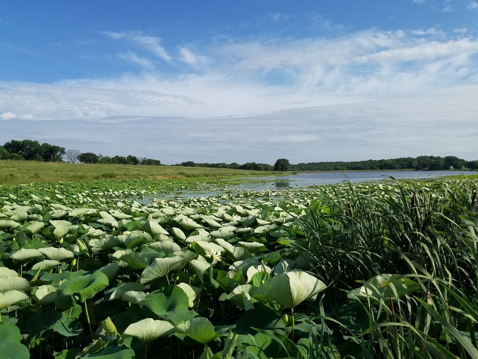 Kten place apartments lake view in de soto